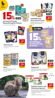 Katzenfutter im Das Futterhaus Prospekt "App laden UND TIERISCH SPAREN" mit 10 Seiten (Mainz)
