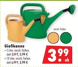 Gießkanne bei Mäc-Geiz im Templin Prospekt für 3,99 €