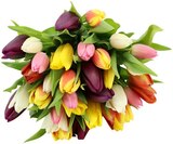 Tulpenbund »Kunterbunt« im aktuellen Prospekt bei REWE in Altshausen
