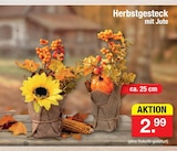Herbstgesteck Angebote bei Zimmermann Emden für 2,99 €