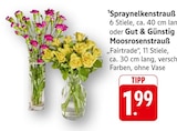 EDEKA Rheinau - Spraynelkenstrauß Angebot im Prospekt Spraynelkenstrauß bei EDEKA im Rheinau Prospekt für 1,99 €