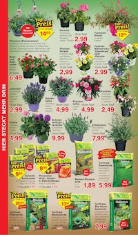 Blumenerde im Jawoll Prospekt "Sonderposten-Märkte" mit 16 Seiten (Bremen)