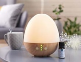 Coffret diffuseur d’huiles essentielles - MESSEGUE - Gifi Coffret diffuseur d’huiles essentielles - MESSEGUE à 14,99 € dans le catalogue Gifi