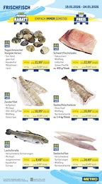 Forelle Angebot im aktuellen METRO Prospekt auf Seite 6