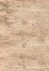 Südamerikanisches Rib-Eye-Steak im Angebot bei REWE in Wunstorf Südamerikanisches Rib-Eye-Steak Angebote bei REWE Wunstorf für 2,99 €