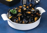 Moule de bouchot STG - Super U à Calais Moule de bouchot STG en promo chez Super U Calais à 2,59 €