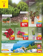 Aktueller Netto Marken-Discount Prospekt mit Reis, "Aktuelle Angebote", Seite 8