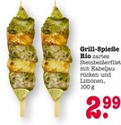 E center Kandel - Grill-Spieße Angebot im Prospekt Grill-Spieße bei E center im Kandel Prospekt für 2,99 €