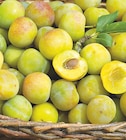 Promo Prune Reine Claude à 2,99 € dans le catalogue Intermarché à Noiseau