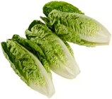Aktuelles Romana Salatherzen Angebot bei REWE in Frankfurt (Main) ab 1,29 €