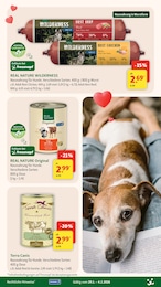 Fressnapf Hunde im Prospekt 