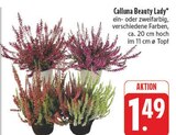 Calluna Beauty Lady im Angebot bei E center in Zwickau Calluna Beauty Lady Angebote bei E center Zwickau für 1,49 €