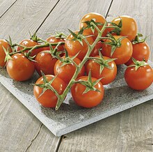 Tomate cocktail grappe zéro résidu de pesticides - Géant Casino à Mérignac Tomate cocktail grappe zéro résidu de pesticides en promo chez Géant Casino Mérignac à 2,79 €
