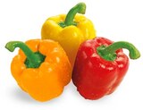 Paprika Mix im Angebot bei REWE in Friedrichshafen Paprika Mix Angebote von REWE Beste Wahl bei REWE Friedrichshafen für 1,39 €