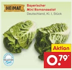 Bayerischer Mini Romanasalat Angebot in Rosenberg Bayerischer Mini Romanasalat im aktuellen Prospekt bei Netto Marken-Discount in Rosenberg