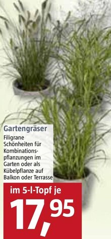 Gartengräser bei BAUHAUS in Erlangen Gartengräser im Angebot bei BAUHAUS Erlangen für 17,95 €
