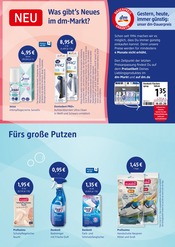 Aktueller dm-drogerie markt Prospekt mit Schuhe, "Versprüht Frühlingsfrische", Seite 3