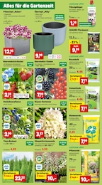 Blumenerde Angebot im aktuellen Thomas Philipps Prospekt auf Seite 3