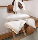 Aktuelles Kopfkissen Angebot bei hofmeister in Stuttgart ab 29,99 €