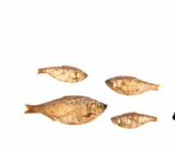 Aktuelle Fisch Angebote bei Zookauf in Hagen (Stadt der FernUniversität) Aktuelles Snackliebe Angebot bei Zookauf in Hagen (Stadt der FernUniversität) ab 3,59 €