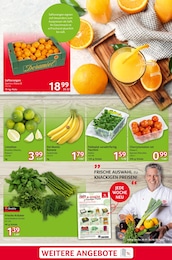 Limetten Angebot im aktuellen Selgros Prospekt auf Seite 3