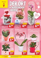 Aktueller Netto Marken-Discount Prospekt mit Orchidee, "Aktuelle Angebote", Seite 30