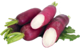Rettich rot im V-Markt Prospekt zum Preis von 0,59 €