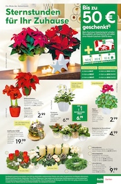 Garten im BayWa Bau- und Gartenmärkte Prospekt in Schorndorf Aktueller BayWa Bau- und Gartenmärkte Prospekt mit Garten, "Hier bin ich gern", Seite 9