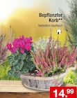 Bepflanzter Korb Angebote bei Zimmermann Göttingen für 14,99 €