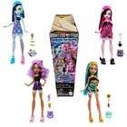 Poupée secrets Monster High - MONSTER HIGH en promo chez Carrefour Mulhouse à 18,90 €
