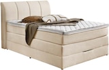 Boxspringbett Angebote bei porta Möbel Braunschweig für 799,00 €