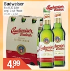 Budweiser im Getränke City Prospekt Budweiser von im aktuellen Getränke City Prospekt für 4,99 €