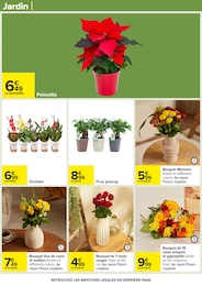 Prix et réduction Orchidée dans le prospectus Carrefour en cours Offre Orchidée dans le catalogue Carrefour du moment à la page 56