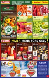 Kamin Angebot & Preis im aktuellen Norma Prospekt Kamin Angebot im aktuellen Norma Prospekt auf Seite 11