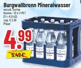 Burgwallbronn Mineralwasser bei Trinkgut im Schleiden Prospekt für 4,99 €