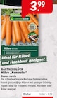 Raiffeisenmarkt - Möhre Nominator Angebot im Prospekt Möhre Nominator bei Raiffeisenmarkt im Prospekt "" für 3,99 €