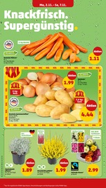 Ähnliche Buchsbaum Angebote im Prospekt "Wer günstig will, muss Penny." von Penny in Erfurt Ähnliche Angebote wie Buchsbaum im Prospekt "Wer günstig will, muss Penny." auf Seite 2 von Penny in Erfurt