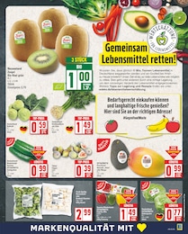 Salat Angebot im aktuellen EDEKA Prospekt auf Seite 3