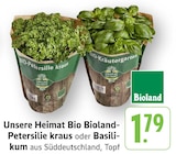 EDEKA Bammental Prospekt mit  im Angebot für 1,79 €