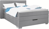 Boxspringbett bei POCO im Lohfelden Prospekt für 699,99 €