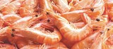 Crevette rose cuite ASC à Carrefour dans Orange