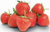 Erdbeeren Angebote bei Markant Nordwest Herford