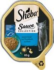 Katzennassnahrung Angebote von Sheba bei Netto mit dem Scottie Greifswald für 0,65 €