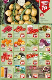 Blumen im REWE Prospekt in Kaufbeuren Aktueller REWE Prospekt mit Blumen, "Dein Markt", Seite 8