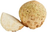 Bio Knollensellerie im Angebot bei REWE in Hofheim Bio Knollensellerie Angebote von REWE Bio bei REWE Hofheim für 1,79 €