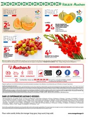 Promos Fleurs dans le catalogue "XXL" de Auchan Supermarché Fleurs en promo dans le catalogue Auchan Supermarché à la page 15