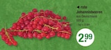 Rote Johannisbeeren von  im aktuellen V-Markt Prospekt für 2,99 €