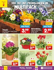 Aktueller Netto Marken-Discount Prospekt mit Tulpen, "Aktuelle Angebote", Seite 6