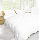 Aktuelle Kopfkissen Angebote bei Opti-Wohnwelt in Bremen Aktuelles Kopfkissen 40x80 cm Angebot bei Opti-Wohnwelt in Bremen ab 12,99 €