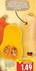 Speisekürbis Butternut im aktuellen E center Prospekt